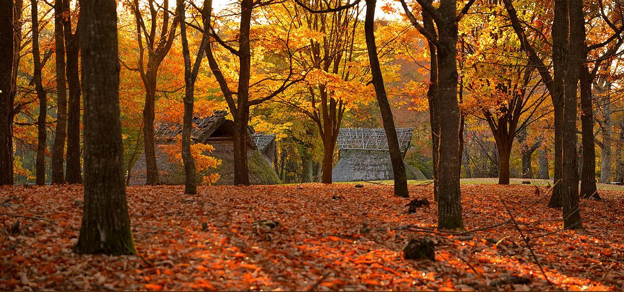 ホテル 白樺湖榮園 茅野市 エクステリア 写真