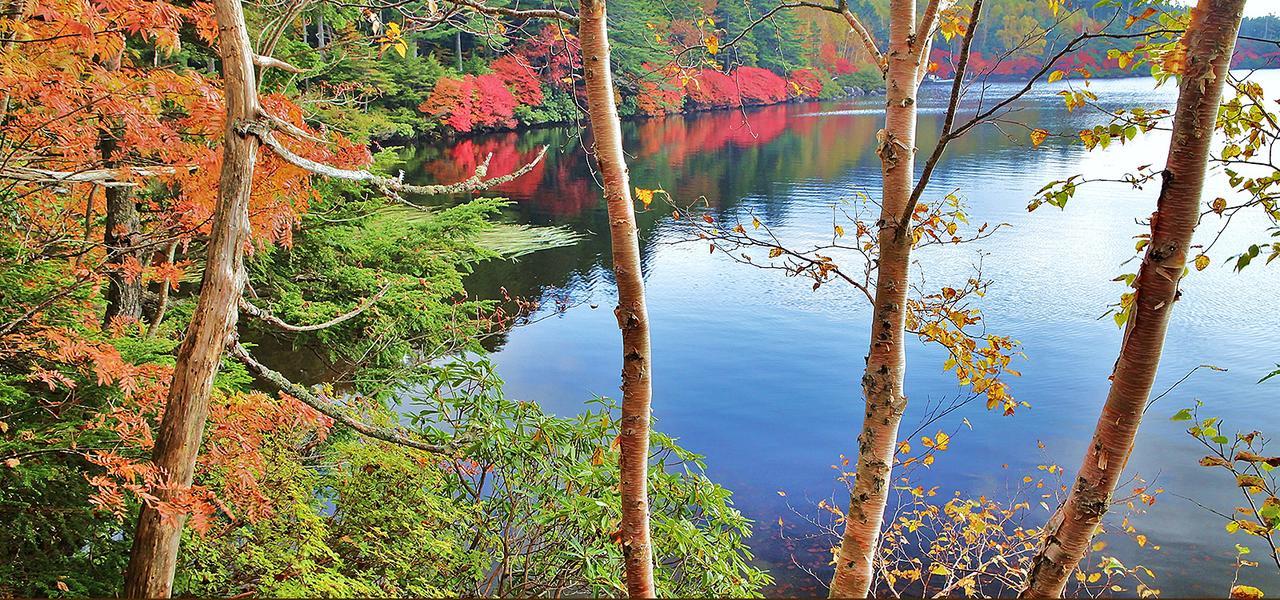 ホテル 白樺湖榮園 茅野市 エクステリア 写真