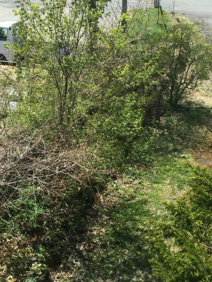 ホテル 白樺湖榮園 茅野市 エクステリア 写真